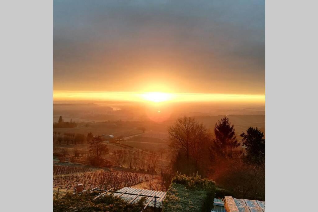 Vue Panoramique Sur Le Vignoble Διαμέρισμα Sancerre Εξωτερικό φωτογραφία
