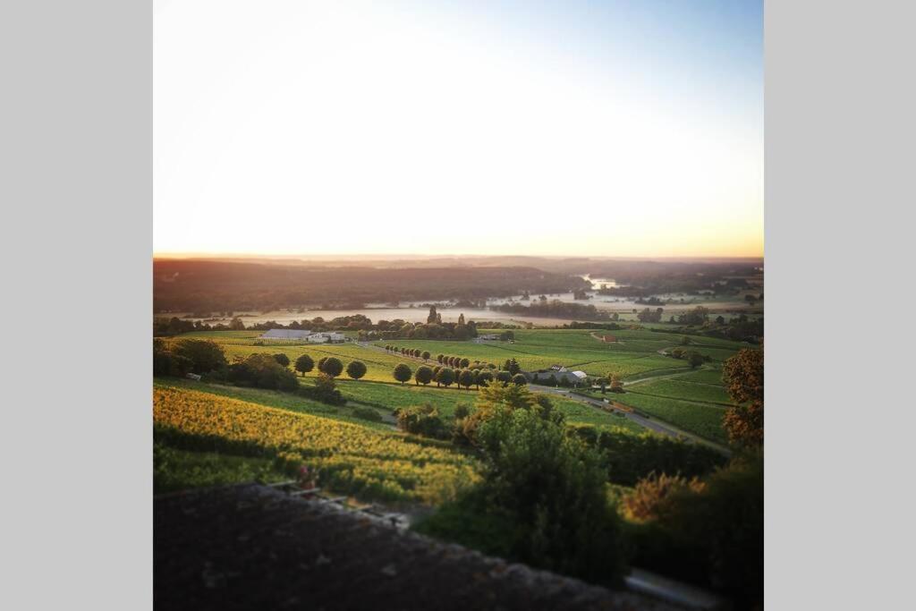Vue Panoramique Sur Le Vignoble Διαμέρισμα Sancerre Εξωτερικό φωτογραφία